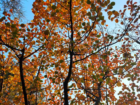 “醉美”重山秋(二)2