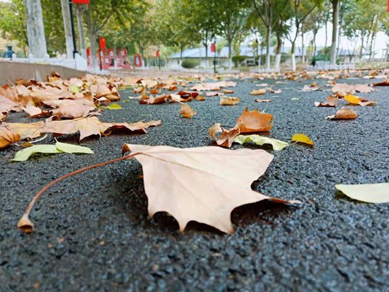 “醉美”重山秋(二)2