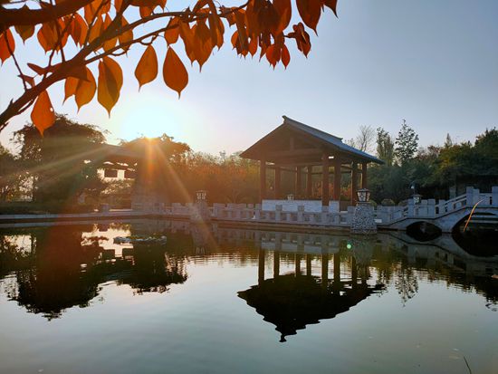 “醉美”重山秋(二)2