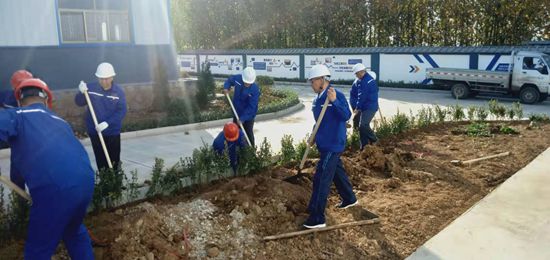 集團(tuán)機(jī)關(guān)黨支部組織綠化活動(dòng)77