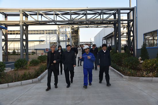 淄川區(qū)2019年度科學(xué)發(fā)展暨基層黨建現(xiàn)場觀摩點評 ——觀摩重山集團重點項目50