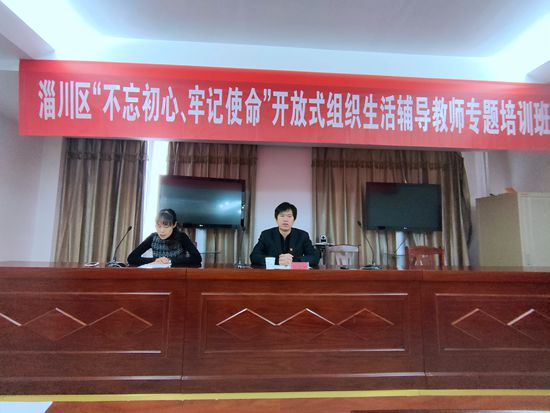 集團(tuán)參加區(qū)開(kāi)放式組織生活輔導(dǎo)教師專題培訓(xùn)3