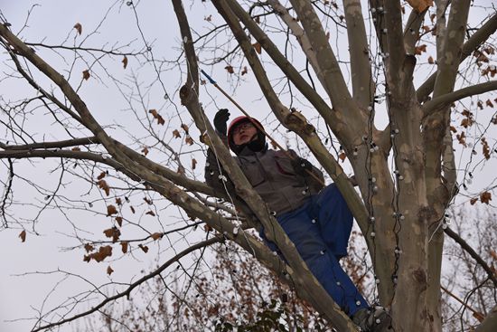 大紅燈籠高高掛 喜氣洋洋過(guò)春節(jié)68