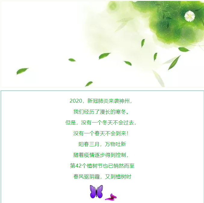 植一片希望 愿山河無(wú)恙14