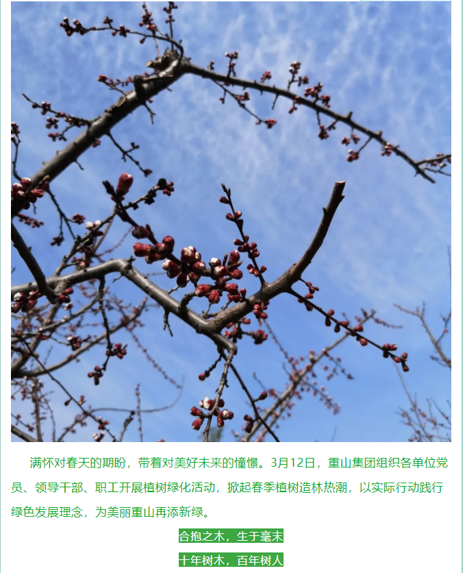 植一片希望 愿山河無(wú)恙14