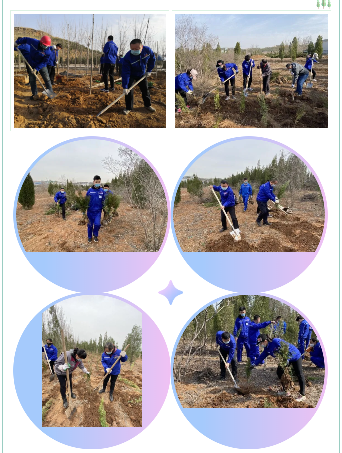 植一片希望 愿山河無(wú)恙14