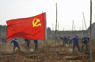 植一片希望 愿山河無(wú)恙14