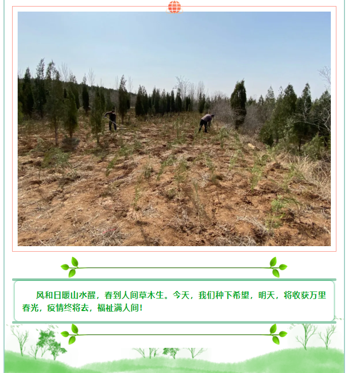 植一片希望 愿山河無(wú)恙14
