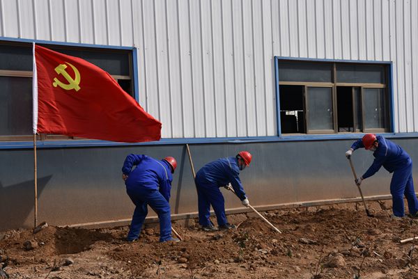 黨旗紅 春意濃 ——重山光電黨支部開(kāi)展植樹(shù)綠化主題黨日活動(dòng)68