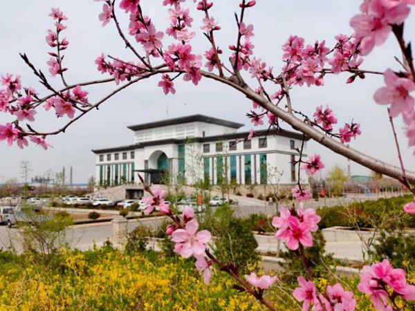 【重山影像】重山春已到 奮斗正當(dāng)時(shí)(二)20