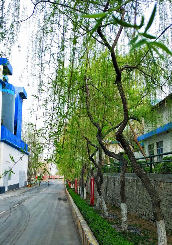 【重山影像】重山春已到 奮斗正當(dāng)時(shí)(二)20