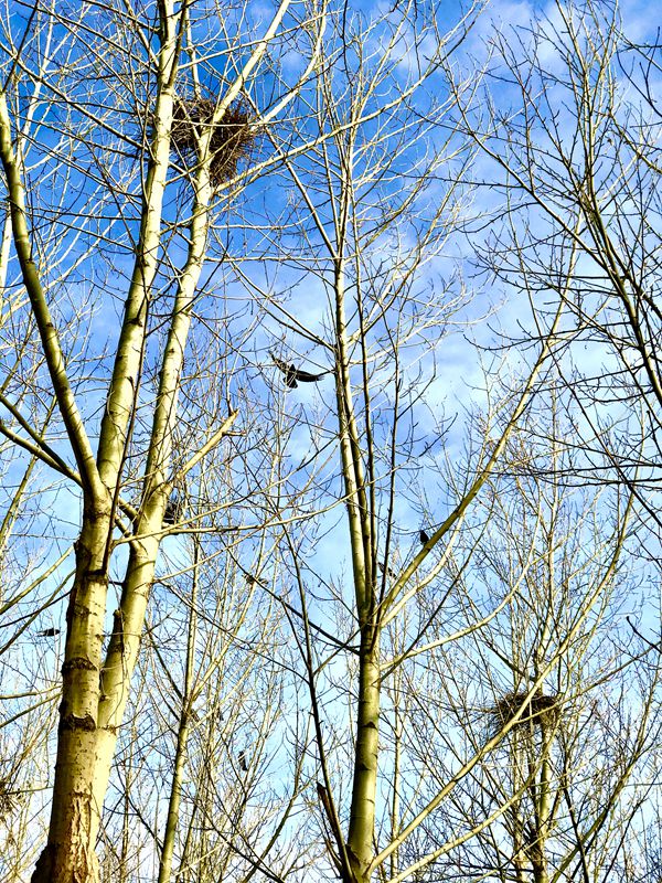 【重山影像】重山春已到 奮斗正當(dāng)時(shí)(二)20