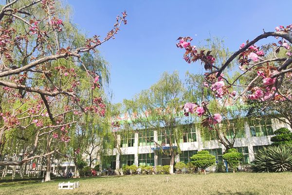 【重山影像】重山春已到 奮斗正當(dāng)時（四）28