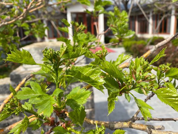 【重山影像】重山春已到 奮斗正當(dāng)時（四）28