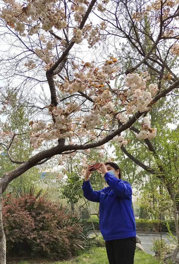 【重山影像】重山春已到 奮斗正當(dāng)時（四）28