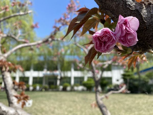 【重山影像】重山春已到 奮斗正當(dāng)時（四）28