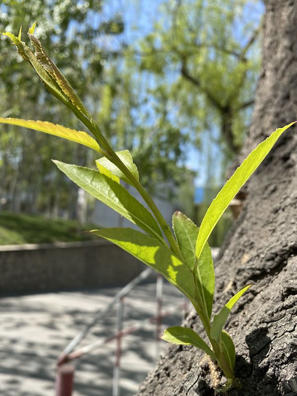 【重山影像】重山春已到 奮斗正當(dāng)時（四）28