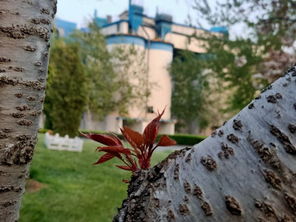 【重山影像】重山春已到 奮斗正當(dāng)時（四）28