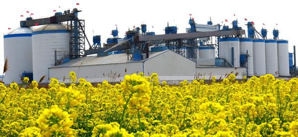 【重山影像】重山春已到 奮斗正當(dāng)時（五）2