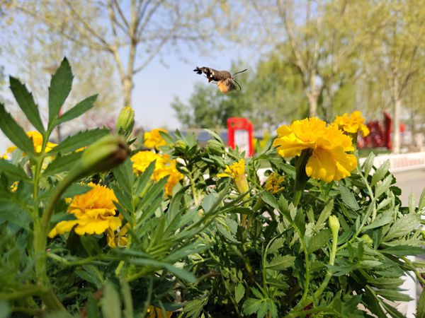 【重山影像】重山春已到 奮斗正當(dāng)時（五）2