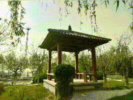 【重山影像】重山春已到 奮斗正當(dāng)時（五）2