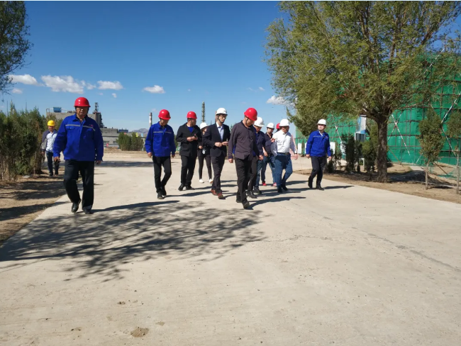 集團(tuán)公司對鵬峰化工、黃驊三陽進(jìn)行管理審核52