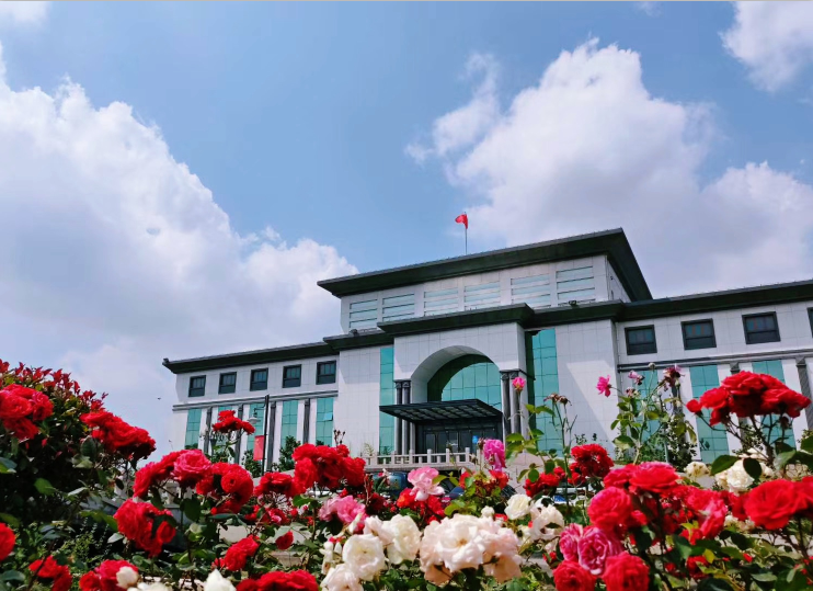 【重山影像】收集重山天空最美的云彩85