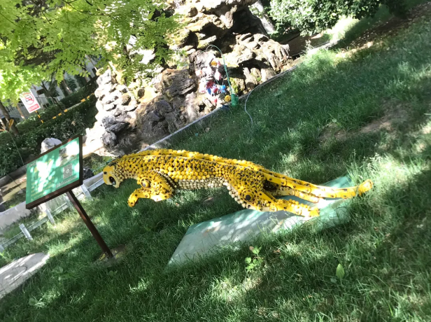 再學(xué)鼎鑫83