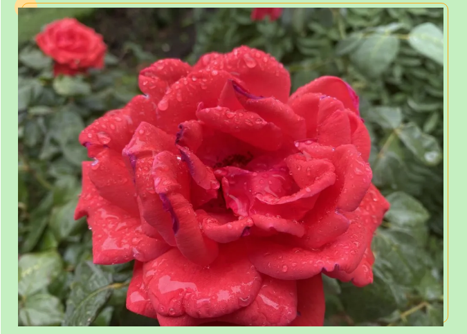 【重山影像】一起來看雨中的重山64