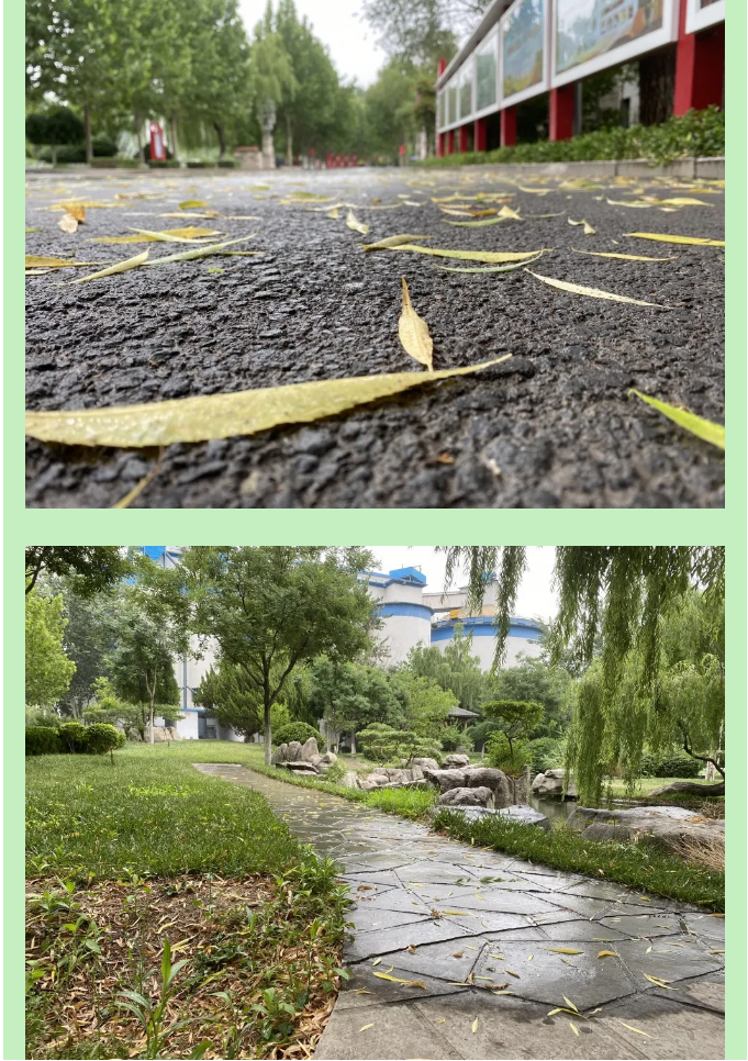 【重山影像】一起來看雨中的重山64