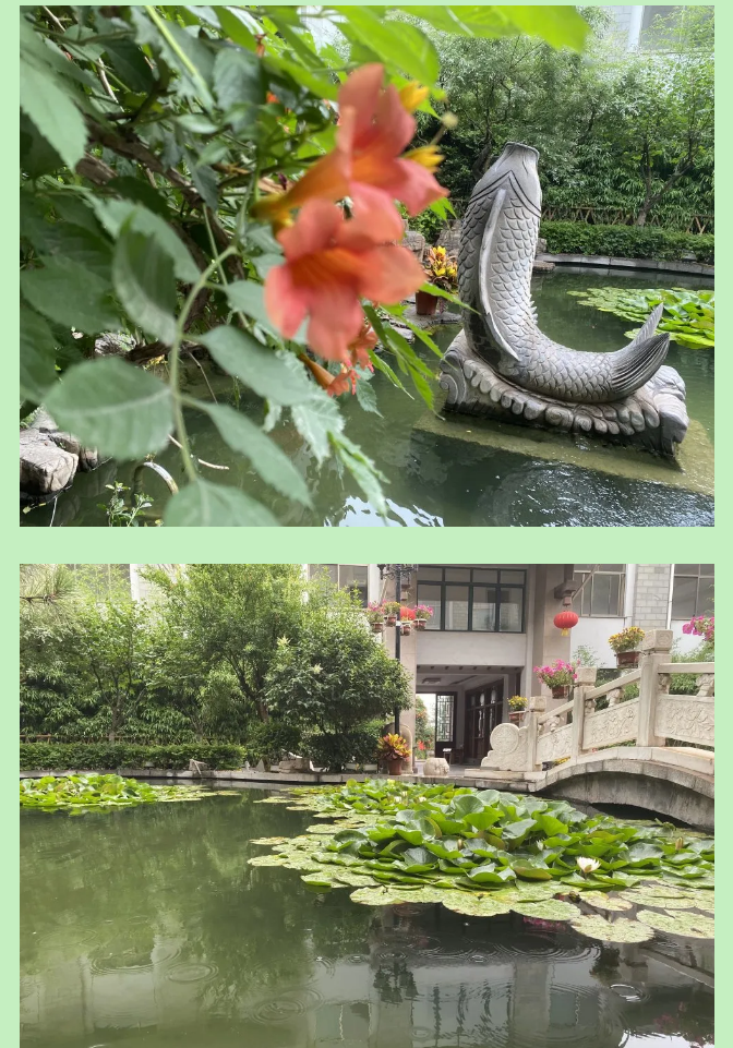 【重山影像】一起來看雨中的重山64