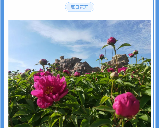 【重山影像】愿你以夢(mèng)為馬 不負(fù)韶華94