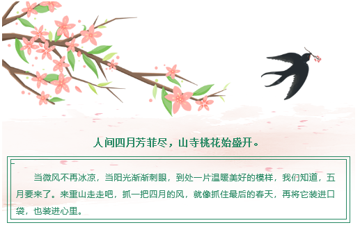 【重山影像】重山芳菲初夏近，萬物逢時皆美好